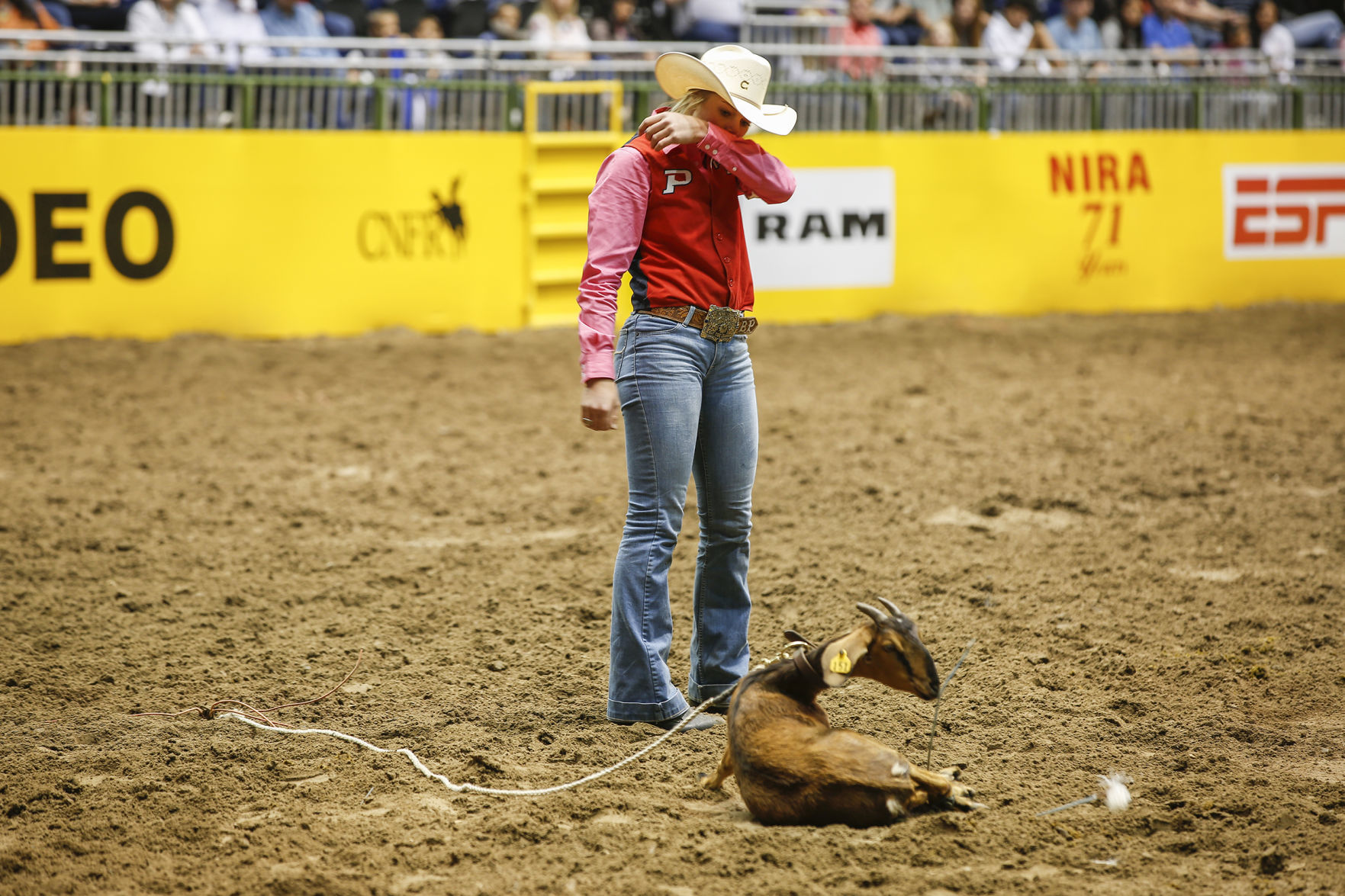 CNFR - Thursday